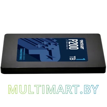 SSD диск Patriot P200 1TB (P200S1TB25) картинка 5
